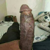 Bobi's Profile Photo